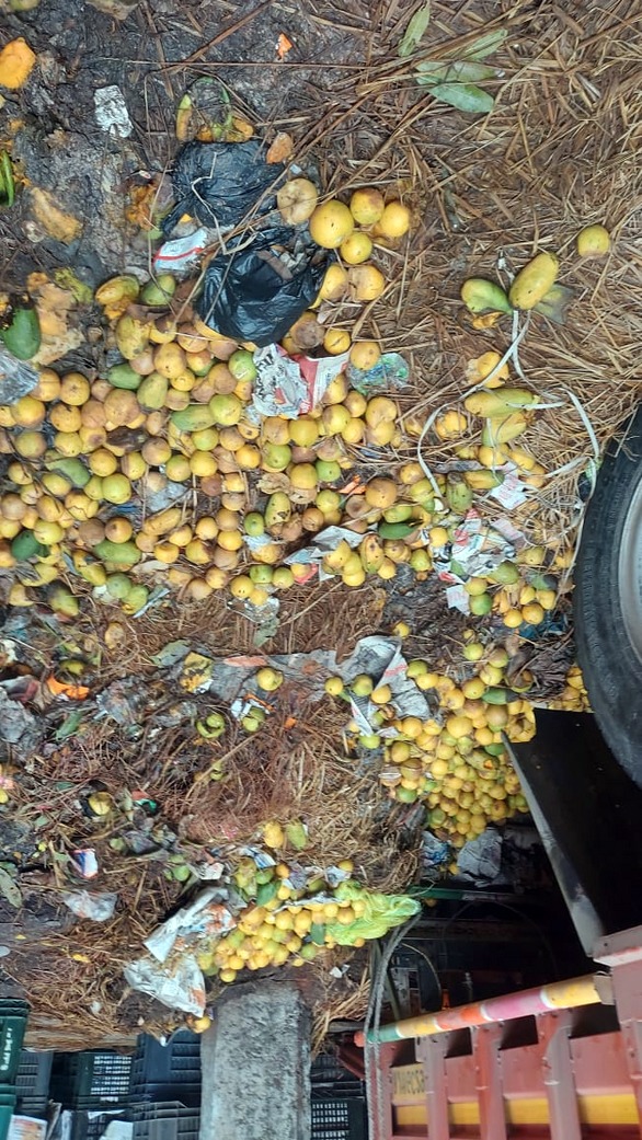 Discarded fruits