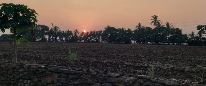 USP of Shaileshbhai ni Vadi